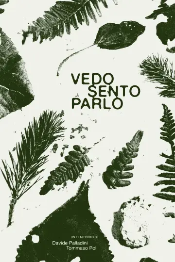 Vedo Sento Parlo постер