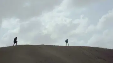 Задник к фильму "In Search of My Moehau" #1177152