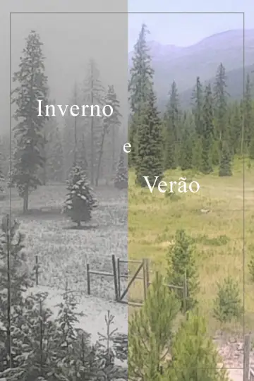 Постер к фильму "Inverno e Verão" #1177503