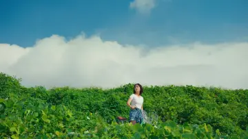 Задник к фильму "그날의 태주" #1572422