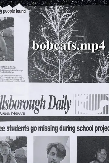 bobcats.mp4 постер