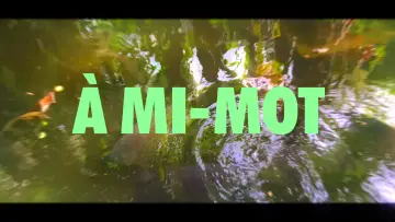Задник к фильму "À MI-MOT" #1187445