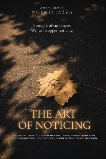 The Art Of Noticing постер