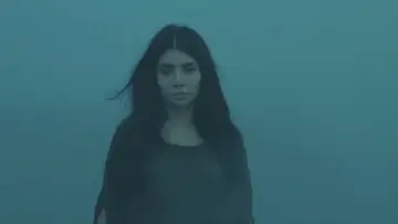 Задник к фильму "পেইন্ট অন ড্রাই লিফ" #1226870