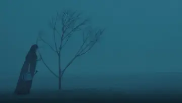 Задник к фильму "পেইন্ট অন ড্রাই লিফ" #1226871