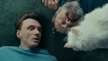 Koty na szkle постер
