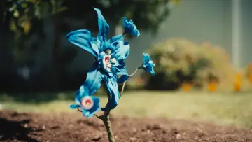 Задник к фильму "In The Weeds" #1350083