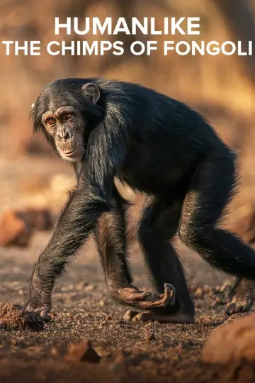 Постер к фильму "Humanlike - The Chimps of Fongoli" #1572830