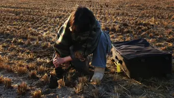 Задник к фильму "" #1187246