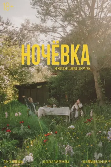 Ночёвка постер