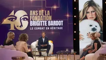 Задник к фильму "Brigitte Bardot - Le combat en héritage" #1285381
