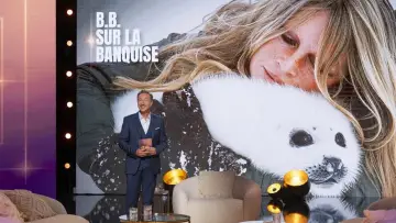 Задник к фильму "Brigitte Bardot - Le combat en héritage" #1285384