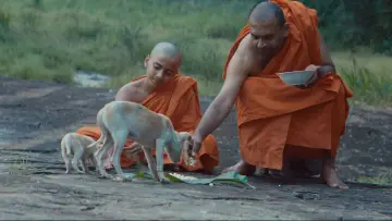 Задник к фильму "Cricket සාදු" #1572536