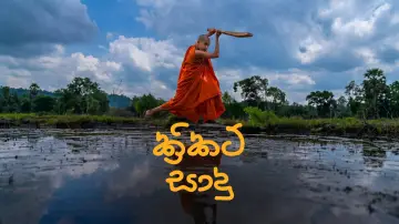 Задник к фильму "Cricket සාදු" #1624060