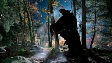 Задник к фильму "Meurtres à Fontainebleau" #1573928