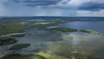 Задник к фильму "Delta Sălbatică" #1746821