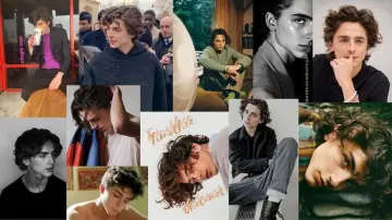The True Story of Timothée Chalamet постер