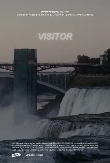 Visitor постер