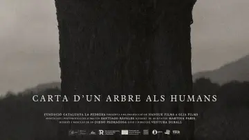 Задник к фильму "Carta d’un arbre als humans" #1569646