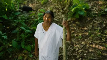 Задник к фильму "ചെവിട്ടോർമ്മ" #1573024