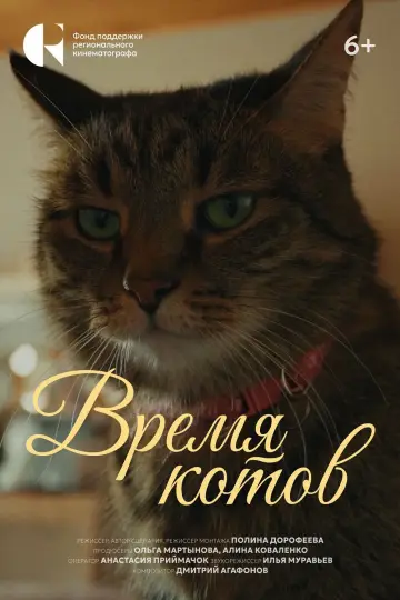 Время котов