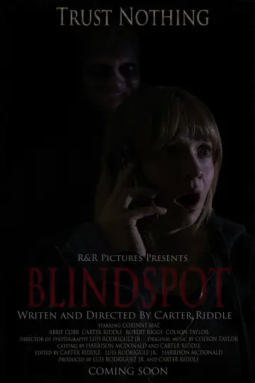 BLINDSPOT постер