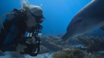 Dolphins: My Close Encounters постер