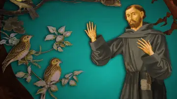 Задник к фильму "Franz von Assisi - Der Grenzgänger" #1756526