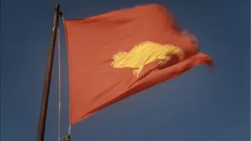 Задник к фильму "Iguana" #664582