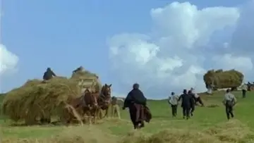 Задник к фильму "Роза Бернд" #681121