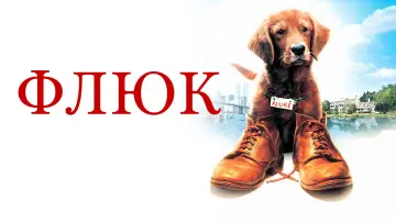 Задник к фильму "Флюк" #1065336