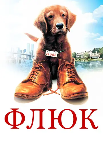 Постер к фильму "Флюк" #1065347