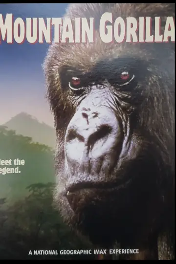 Постер к фильму "Mountain Gorilla" #1640893