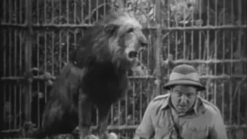 Задник к фильму "Africa Screams" #414265