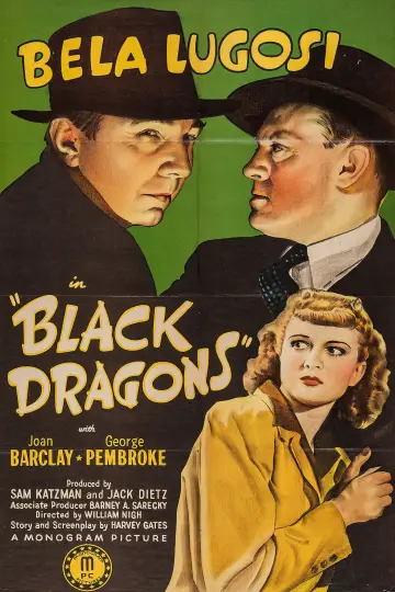 Постер к фильму "Black Dragons" #694106