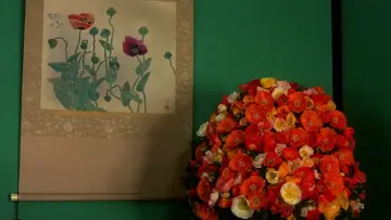Задник к фильму "Сакуран" #1184389