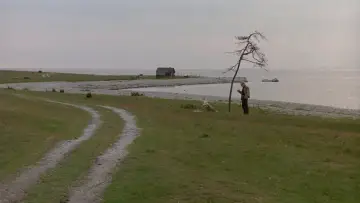Задник к фильму "Жертвоприношение" #189149