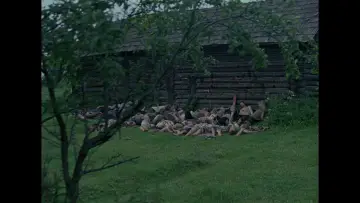Задник к фильму "Иди и смотри" #845259