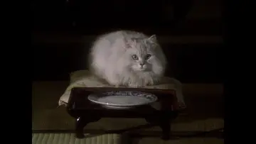 Задник к фильму "Дом" #221288