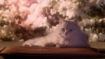 Задник к фильму "Дом" #900610