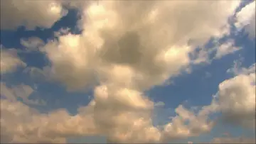 Задник к фильму "Девочки-камикадзе" #876842