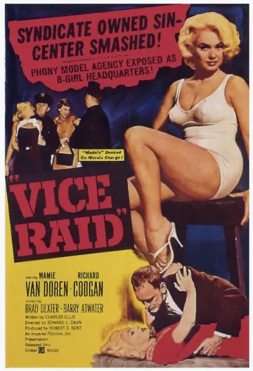 Постер к фильму "Vice Raid" #972797