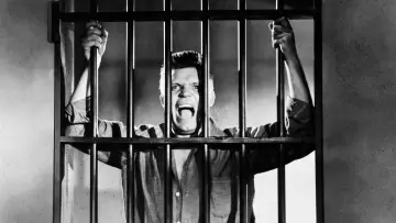 Задник к фильму "Riot in Cell Block 11" #425774