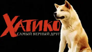Задник к фильму "Хатико: Самый верный друг" #66436