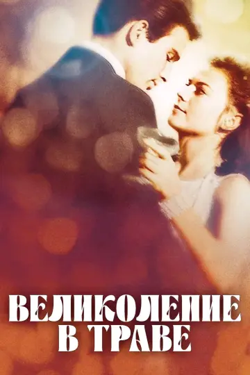 Постер к фильму "Великолепие в траве" #1014755