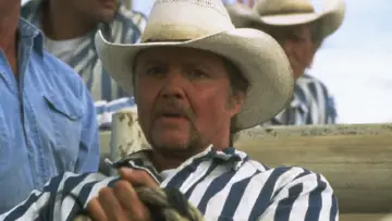 Задник к фильму "Convict Cowboy" #499460