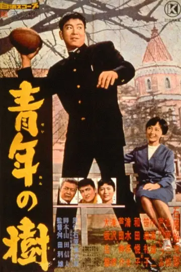 青年の樹 постер