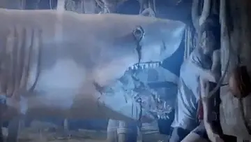 Задник к фильму "Ghost Shark" #1103668