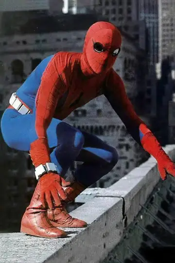 Постер к фильму "Spider-Man" #1007320