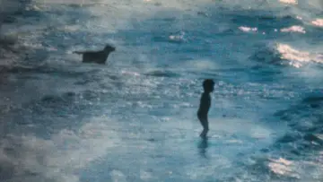 Задник к фильму "La plage" #1637594
